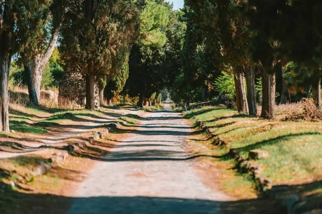 A tree-lined path with cypress trees in warm evening light on the Roman countryside
