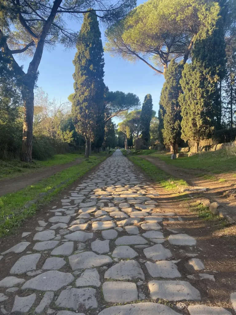 Original basalt paving stones of the Appian Way lined with umbrella pines