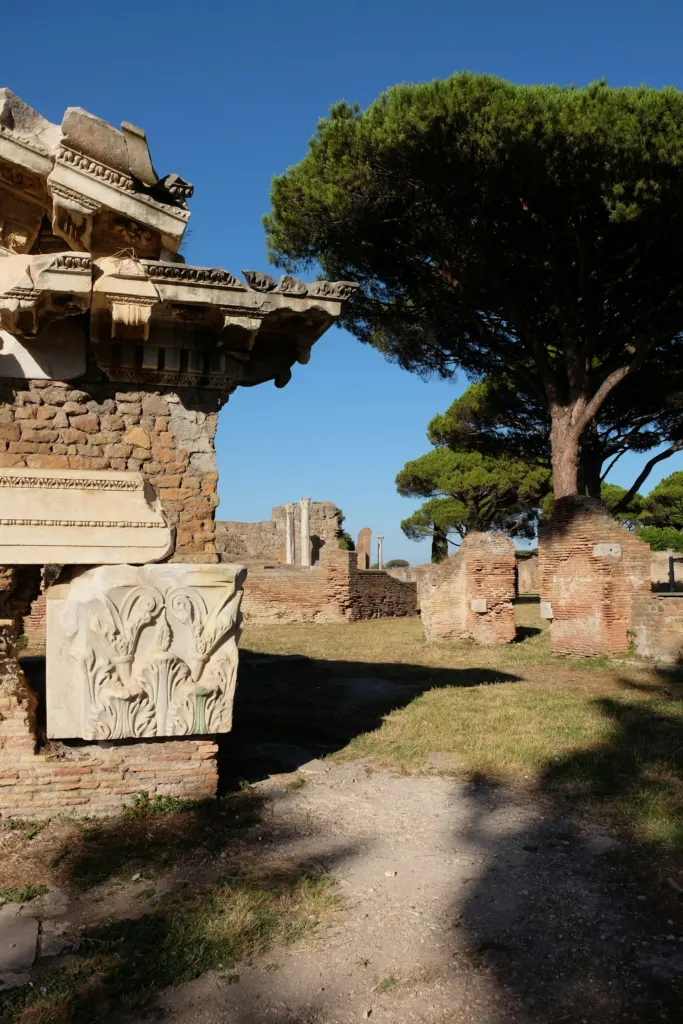 Ancient ruins and umbrella pines at Ostia Antica archaeological park